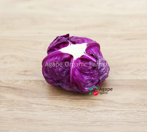 Red Cabbage - AGAPE ORGANIC